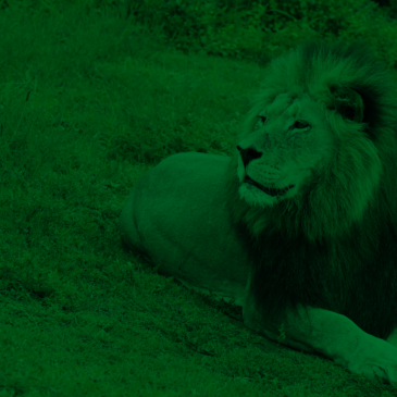 Invista o 13º no seu futuro e pague menos IR em 2022