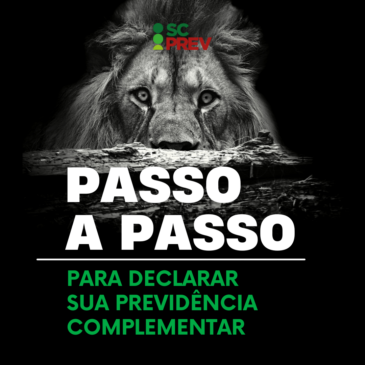 IR 25: Passo a passo para declarar a sua Previdência Complementar