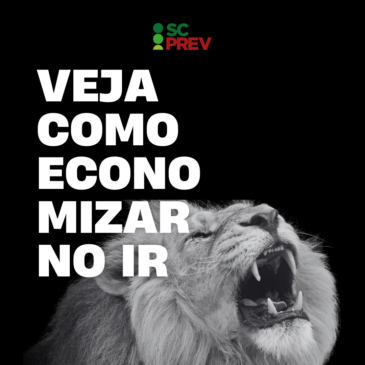 Descubra como economizar no Imposto de Renda e ainda investir no seu futuro